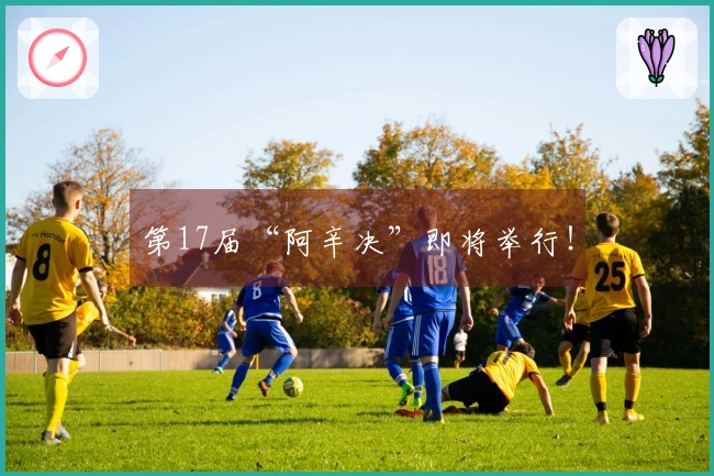 第17届“阿辛决”即将举行！