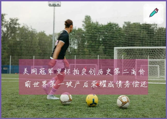 美网冠军奖杯拍卖创历史第二高价 前世界第一破产后荣耀成债务偿还品